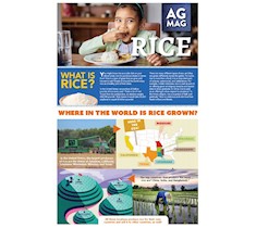 Rice Ag Mag